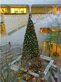 東京オペラシティの中庭にクリスマスツリーを設置している写真