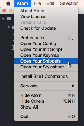 Open Your Snippets