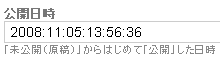 公開日時フィールド